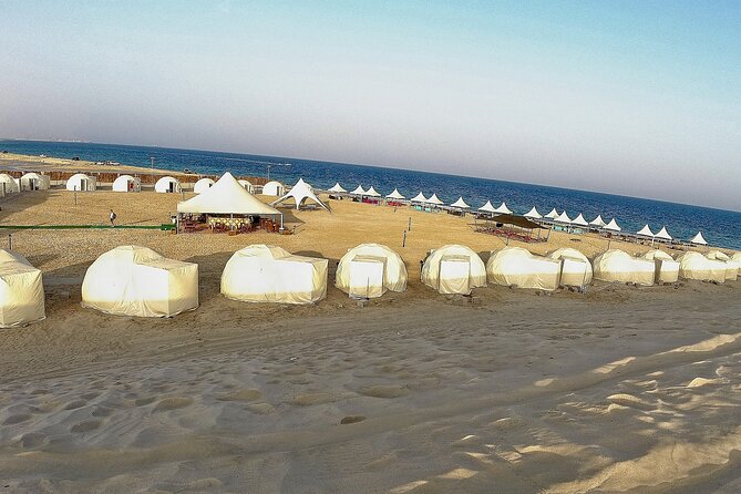 Half Day Tour in Sealine Beach With 1 Hour Camel Ride