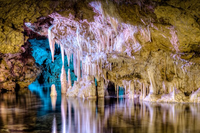 Half Day Tour to Dinosaur Land in Mallorca - Good To Know