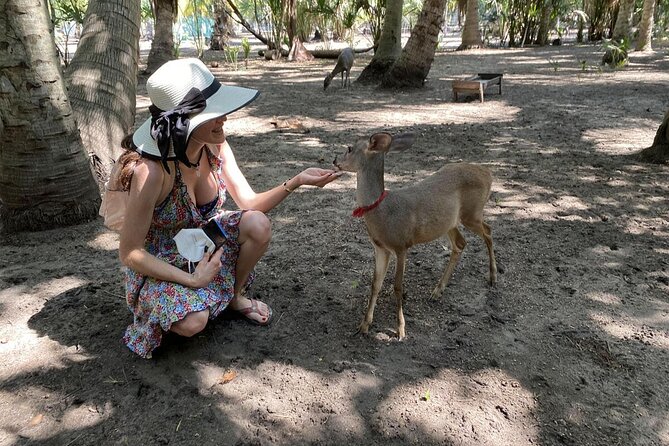 Half-Day Tour to Ventanilla, Mazunte, Zipolite and Puerto Angel
