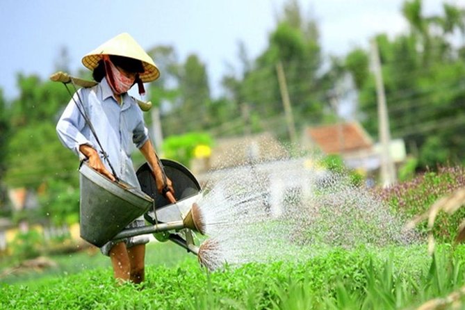 Half -Day Tra Que Herbal Village Tour From Hoi an - Good To Know