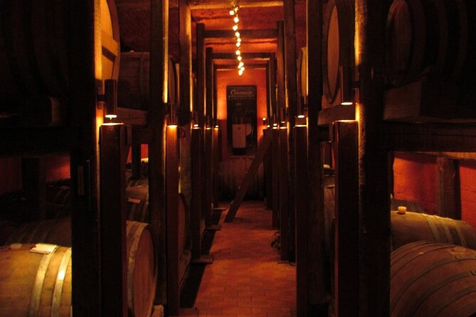 Half-Day Virtual Reality Tour and Wine Tasting - Good To Know