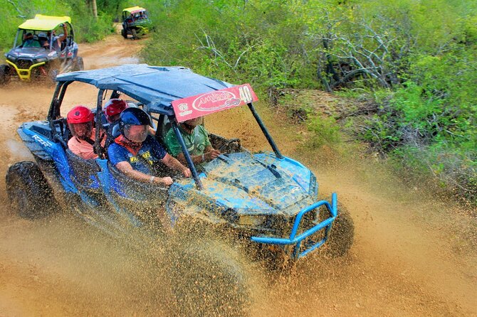 Half-day Wild Desert Polaris Razor UTV Tour - Good To Know