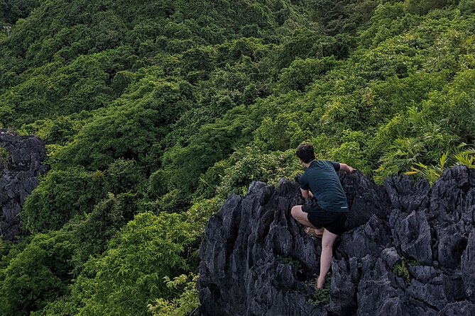 Halfday Trekking Cat Ba Butterfly Valley (More Intense) - Trekking Cat Ba Butterfly Valley: A Challenging Adventure