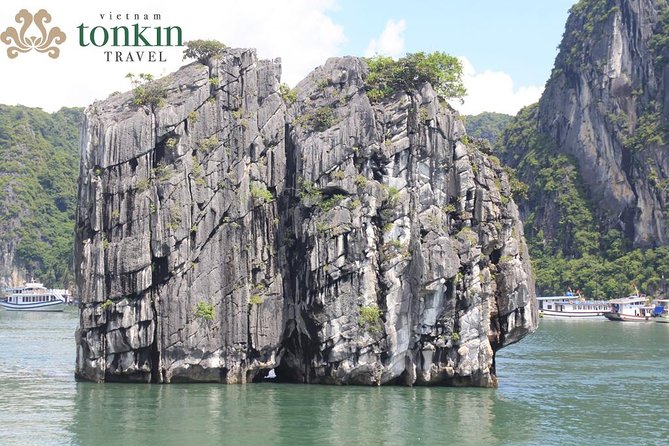 Halong Bay Boutique Cruise 2d/1n Tour: Kayaking, Swimming, Titop Island & Cave - Good To Know