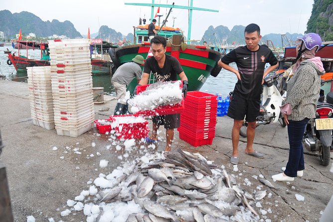 Halong City of Wonder Half Day City Tour - Itinerary Overview