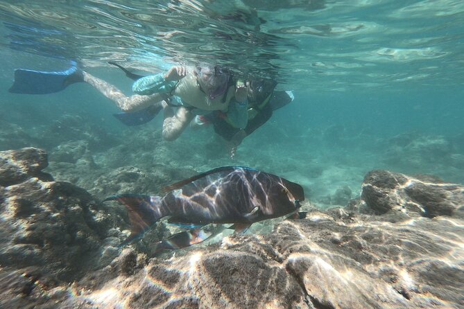 Hanauma Bay Guided Snorkeling Tour