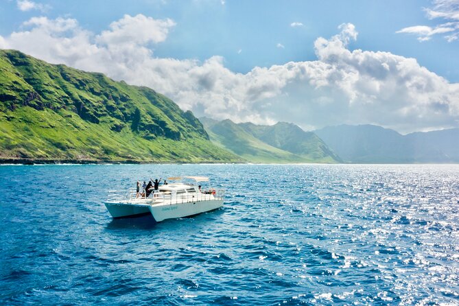 Hawaii: Oahu Dolphin and Sea Life Swimming and Snorkeling Trip  - Honolulu - Good To Know