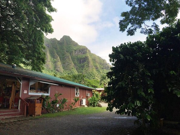 Hawaii Oahu Island Sightseeing and Food Combo Tour - Good To Know