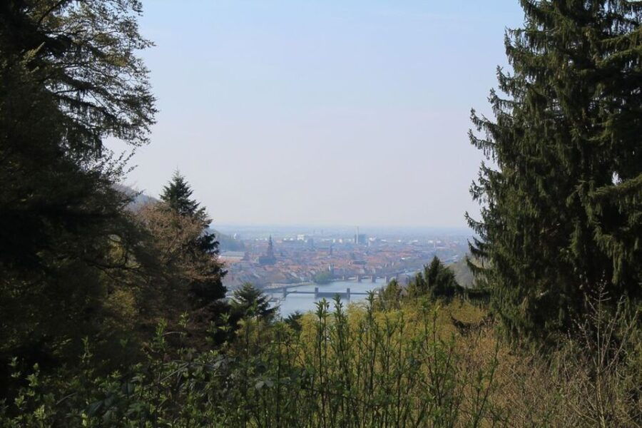 Heidelberg Highlights Segway Tour With Castle