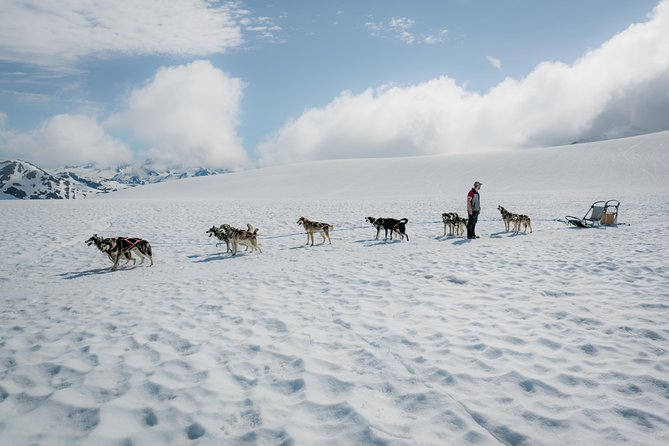 Helicopter and Glacier Dog Sledding Tour From Seward - Good To Know