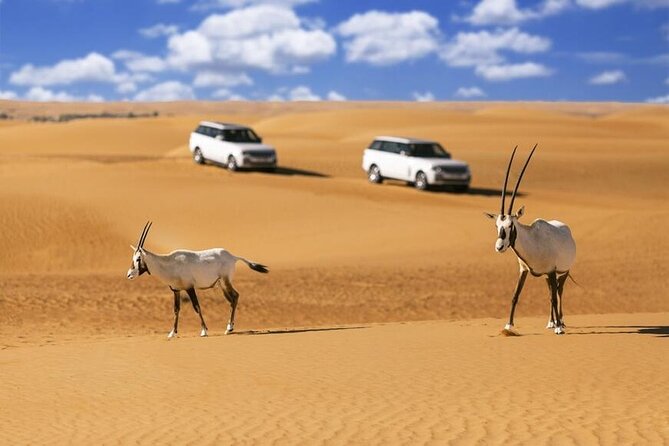 Heritage Falconry & Wildlife Safari Private & Sharing - Good To Know