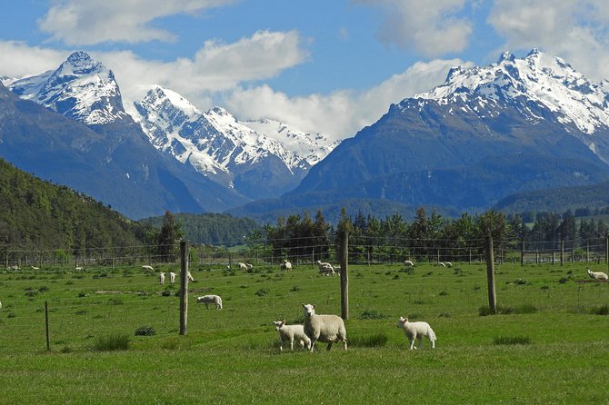 High Country Discovery Tour From Queenstown
