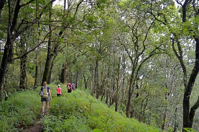 High Mountain Day Trek - Good To Know