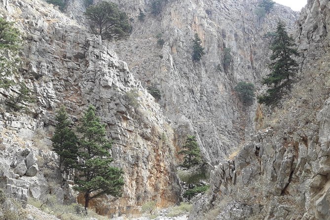Hike Imbros Gorge and Beach Private Tour (Price per Group of 6)