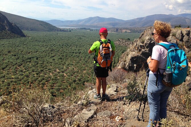 HIKE or BIKE DELPHI Private Guided Tour With Olive Culture Option - Good To Know