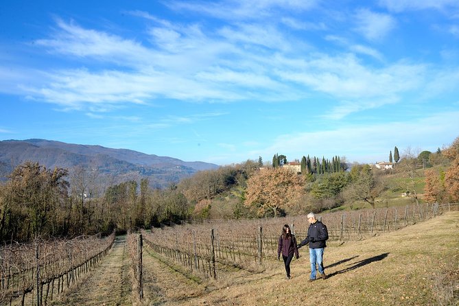 Hike & Wine Tour - Good To Know