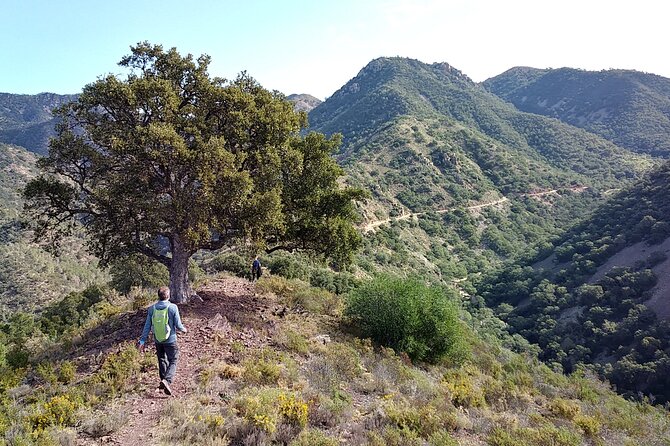 Hiking & Cheese Tasting: Private Tour From Valencia - Good To Know