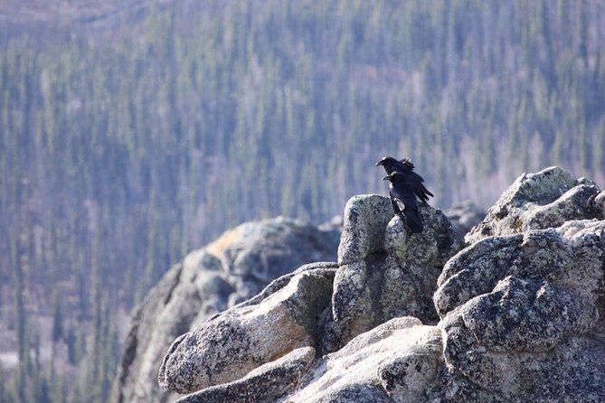 Hiking Expedition at Angel Rocks