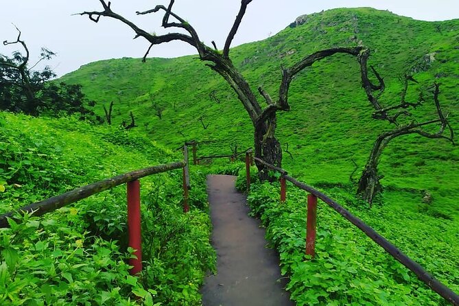 Hiking in Lima, Lomas De Lachay - Pricing and Booking Details