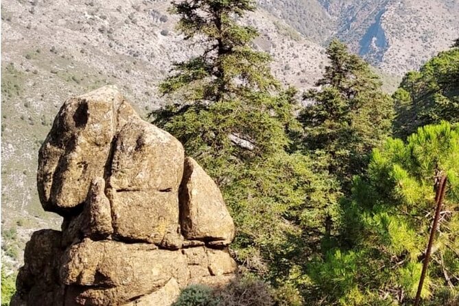 Hiking in the 'Escaleretas' Spanish Fir Forest. - Good To Know