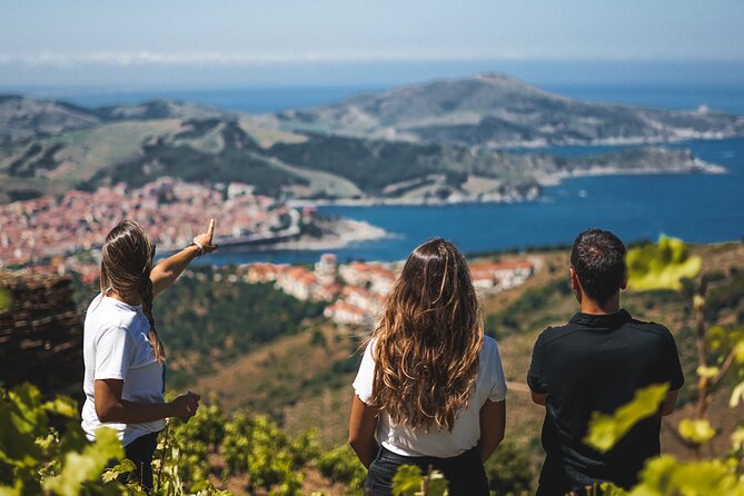Hiking in the Vineyard in Banyuls-sur-Mer