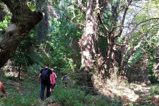 Hiking in the Virgin Nature of Monemvasia, Visit a Canyon and a Watermill - Good To Know