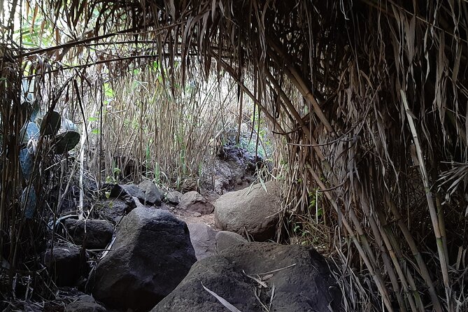 Hiking in Waterfalls & Rainforest by 2 Native Guides - The Enchanting Waterfalls