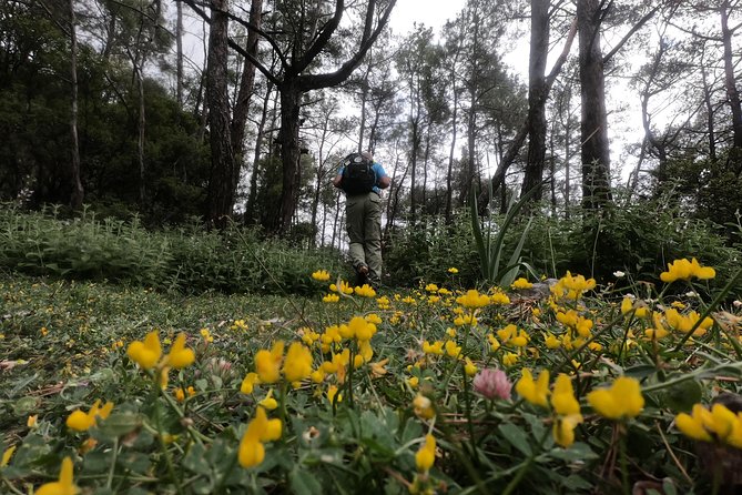 Hiking Mountain Akramitis Rhodes – Pick up Service Available