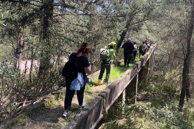 Hiking on Rhodes Countryside. Discover the Flora, Fauna, History, Tradition