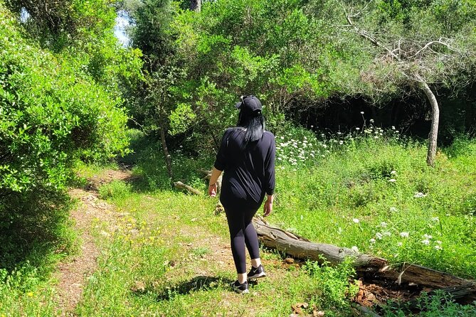 Hiking The Princes Islands - Prinkipo - Common Questions