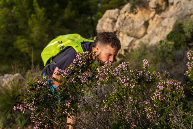 Hiking Tour Into the Sunset - Port Andratx to Sant Elm - Good To Know