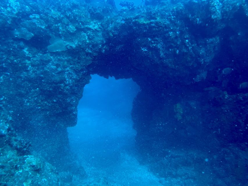 Hilo: Night Dive for Certified Divers - Good To Know