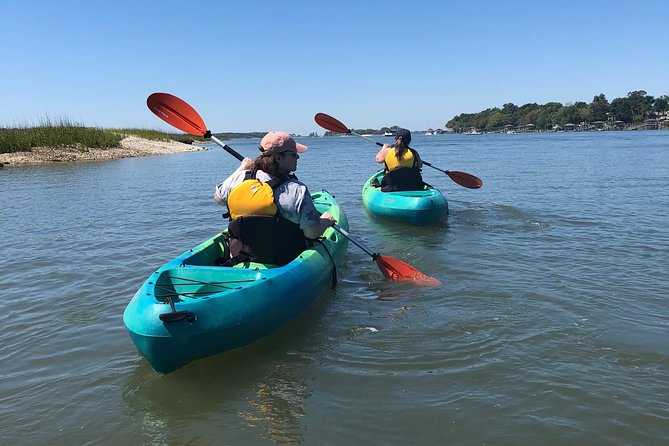 Hilton Head Guided Kayak Eco Tour - Good To Know
