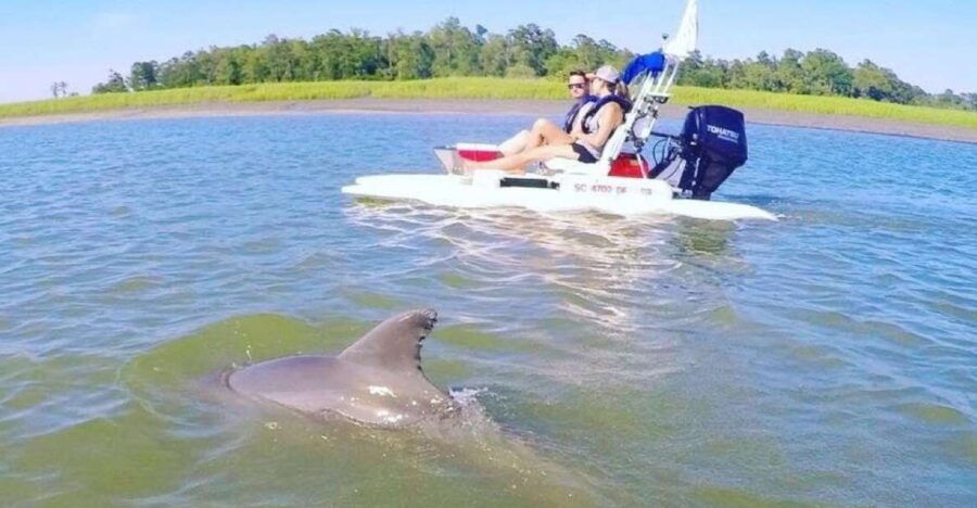Hilton Head Island: 2-Hour Guided Creek Cat Tour - Good To Know