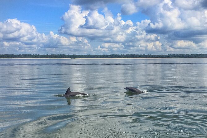 Hilton Head Island Dolphin Boat Cruise - Good To Know