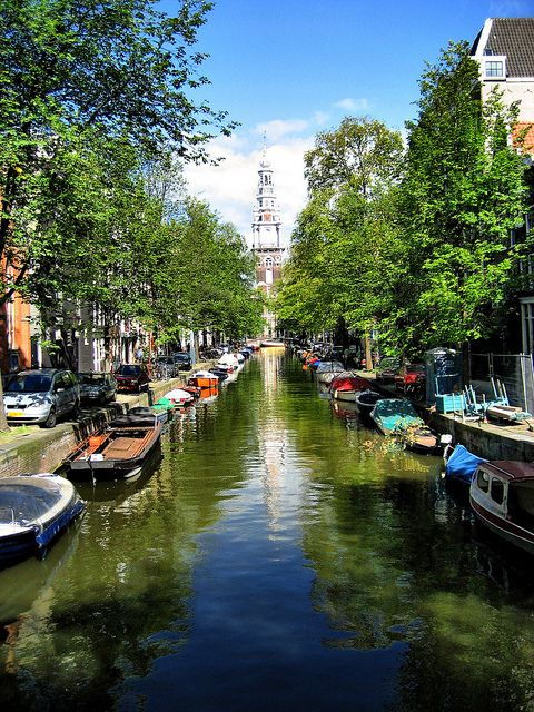Historic Amsterdam 2-Hour Private Tour With Local Guide - Good To Know