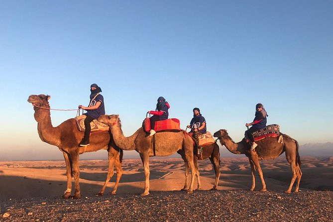Historical Experience Desert Sunset Dinner Camel Ride & Transfer