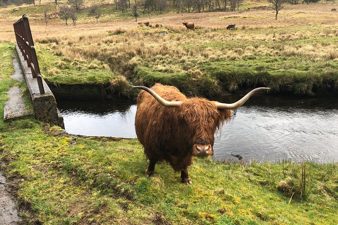 3 Best Historical Tours In Oban