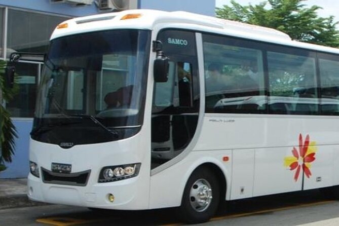 Ho Chi Minh City Airport Arrival Transfer to Hotel - Accessibility and Travel Guidelines