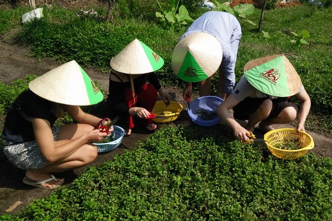 Ho Chi Minh City Full-Day Cooking Class With City Tour