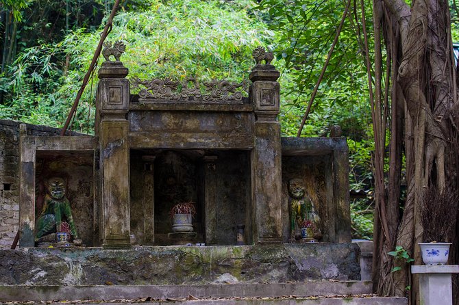 Hoa Lu - Mua Cave - Tam Coc/Trang An - DELUXE Small Group Tour - Inclusions