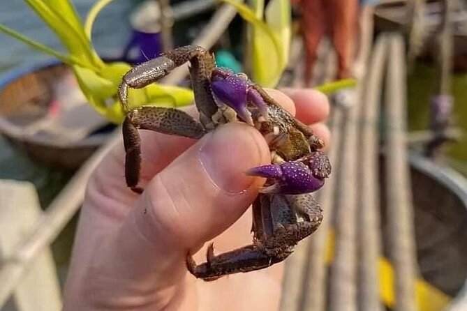 Hoi An Art Painting/Mask Painting Class-Basket Boat Tour & Lunch - Overview and Benefits