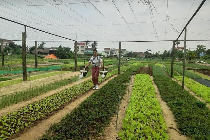 Hoi an Countryside Tour by Cycling, Motorbike or Car - Benefits of Exploring Hoi An Countryside