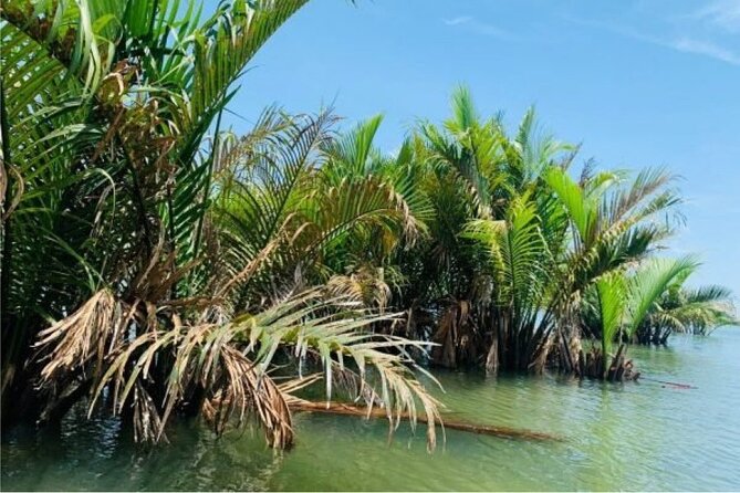 Hoi An Farming And Fishing Life By Bicycle - Private Tour