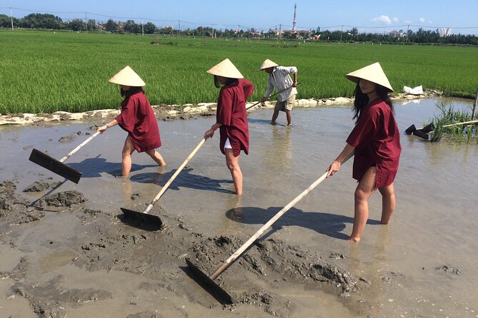 Hoi an Rice Farm Tour and Buffalo Riding With Local Home Meal