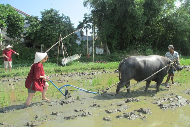 Hoi An Wet Rice Farming Fishing Catching & Basket Boat Tour - Tour Inclusions
