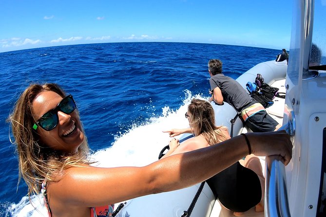 Honolulu Private Whale-Watching Cruise - Oahu