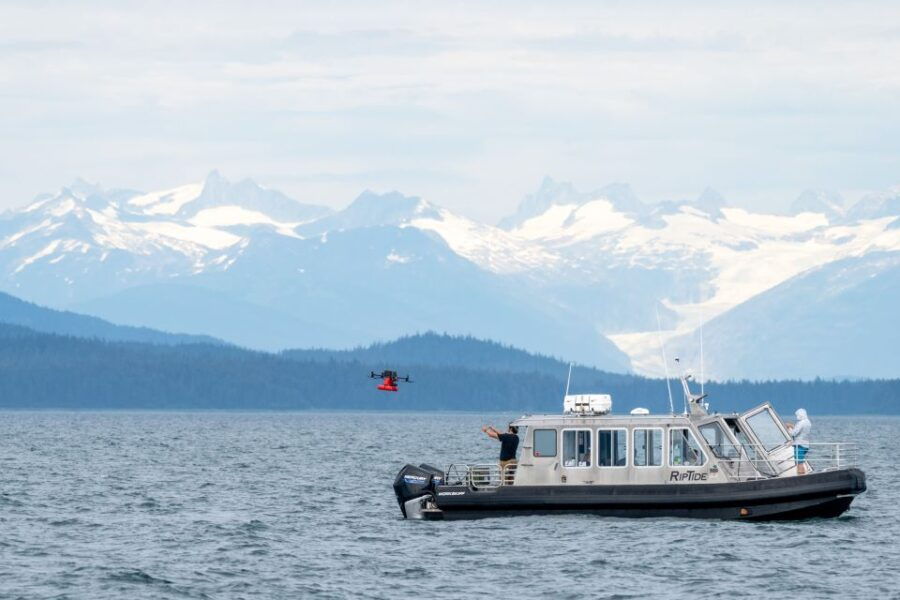 Hoonah: Icy Strait Whale Watch With Drone Filmography - Good To Know