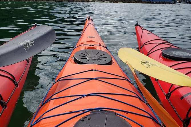 Hoonah Small-Group Kayak Tour