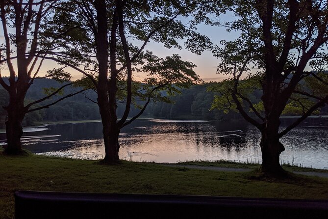 Horse and Carriage Ride Through Moses H. Cone Park